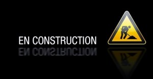 site-en-construction - Copie (640x332)